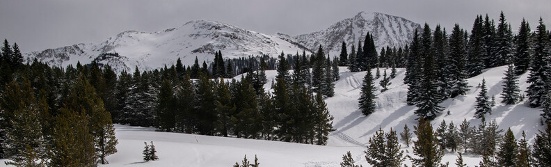 Winter Mountains Pano
