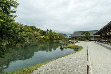 Fototapeta premium 京都 庭園