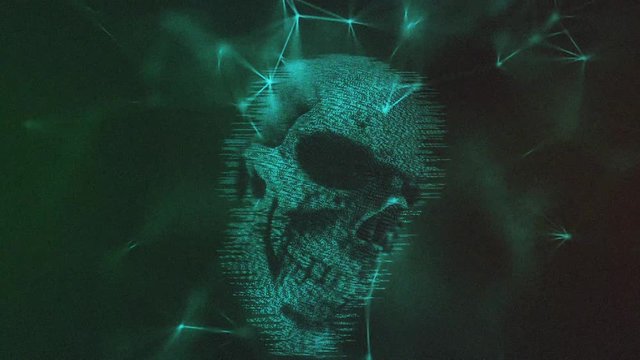 Digital Skull