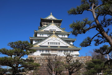 Fototapeta premium famous historical building of osaka castle