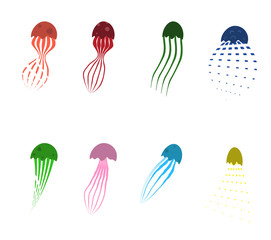 set of colored jellyfish, marine life. Isolated vector on white background