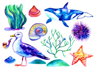 Sea hand drawn set. Nautical high resolution 600 dpi vibrant watercolor elements isolated on white background. For your design.