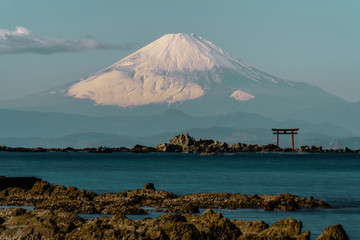 Fototapeta premium 富士山と鳥居 
