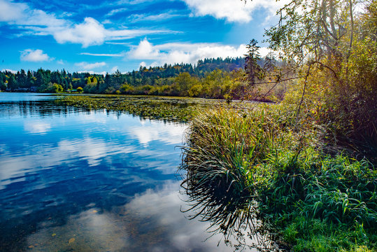 Kitsap Lake, waterscape, 