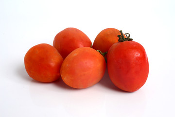 Tomato, (Solanum lycopersicum), flowering plant of the nightshade family (Solanaceae), cultivated extensively for its edible fruits.
