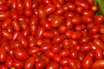 Tomato, (Solanum lycopersicum), flowering plant of the nightshade family (Solanaceae), cultivated extensively for its edible fruits.