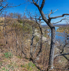 Top view of the bend of the river, two banks, bare branches against the blue sky on a spring day