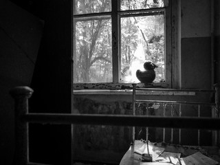 Black and white still of child´s room with toy duck shot in abandon building in the Zone, area around Chernobyl & Pripyat, Ukraine