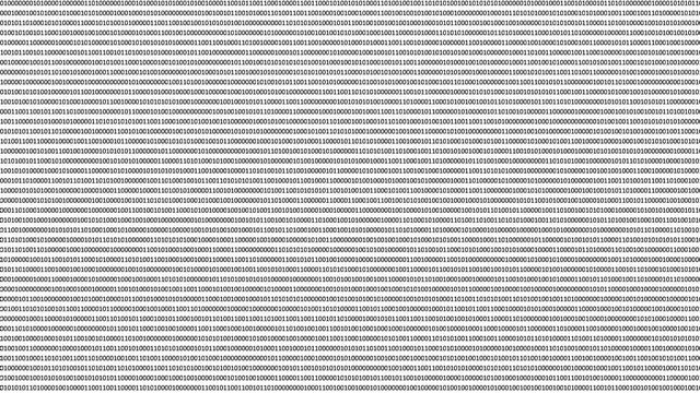 Binary numbers matrix in black on a white digital computer monitor screen. Data code in hacker or security technology concept. Abstract animated illustration.