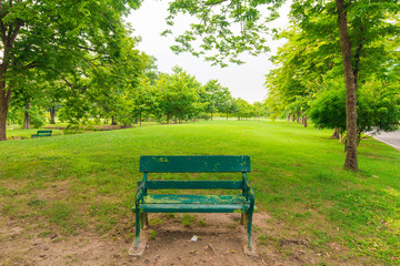 Park bench in public tree park