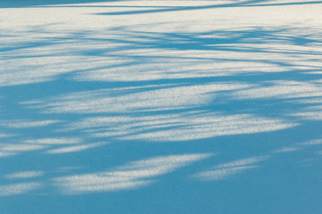 The shadow of the trees on a clean and fresh snow. Winter abstract background. Smooth surface with sparkling ice crystals