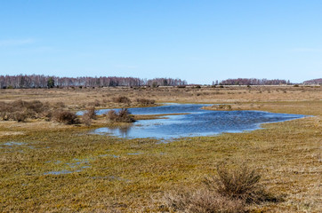 Flooded great alvar plain