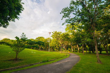 Fototapeta na wymiar Green public park with meadow field and blue sky cloud