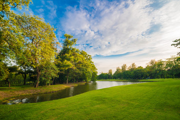 Fototapeta na wymiar Green tree field with pond in public park