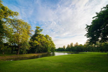 Obraz na płótnie Canvas Green public park with meadow field and blue sky cloud