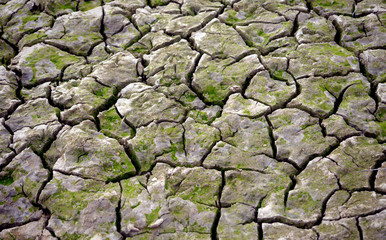 dry parched river bed