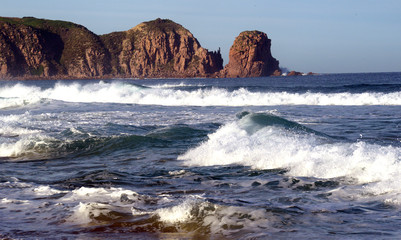 Phillip Island Victoria Australia