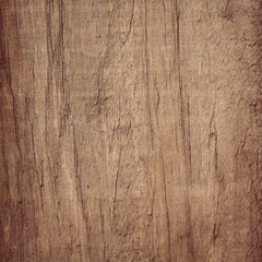 Obraz premium bark wood use as natural background
