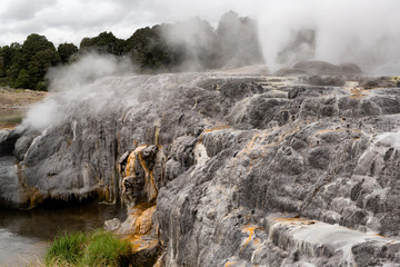 View of thermal activity at the Te Puia Thermal Park
