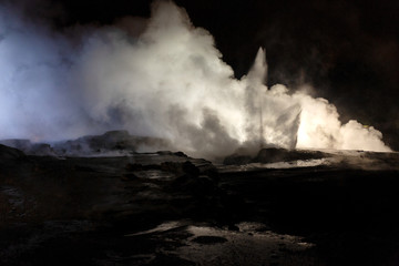 View of thermal activity at the Te Puia Thermal Park
