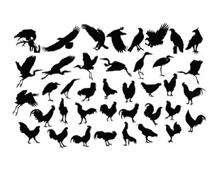 Bird And Rooster Silhouettes, art vector design