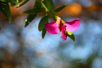 When the earthy colors blend with the colors of the sky and nature, and the beautiful floral colors...