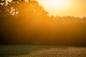 Alter Berg bei Böttingen Kreis Tuttlingen in Baden-Württemberg