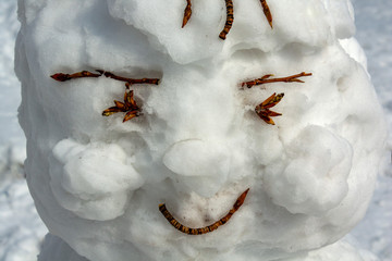 snowman's face made of branches and snow