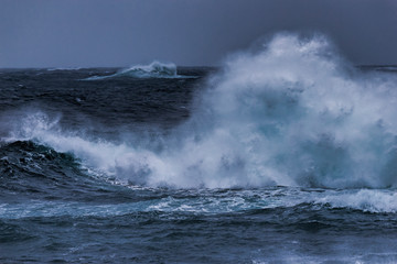 Waves
