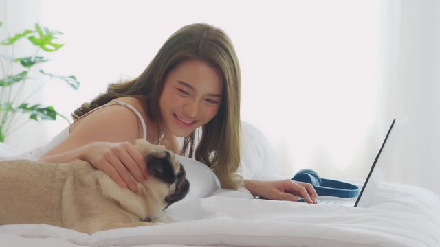 Woman typing and working on laptop with dog Pug breed lying on bed and looking on screen feeling happiness and comfortable,Friendly Dog Concept