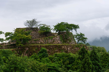Fototapeta na wymiar 樹木に覆われた城跡の石垣