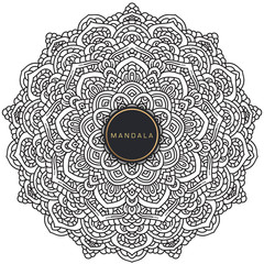 Mandala, tracery round boho doodle. Ethnic ornament, sketched symmetry. Folk, meditation design. Curved shape, isolated on white. Black and white art. Vector