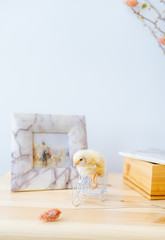 Small chicken that sits in a bike decor on table with photoframe