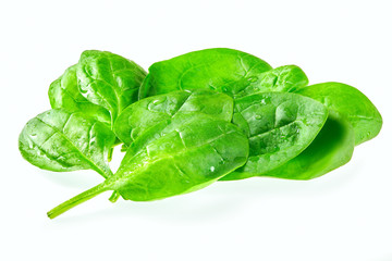 Fresh green baby spinach leaves isolated on white