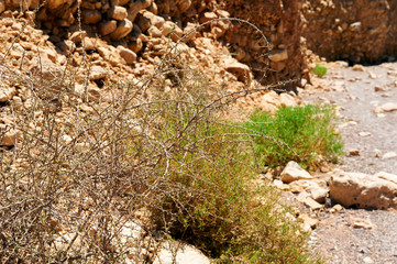 View in Negev desert, Israel