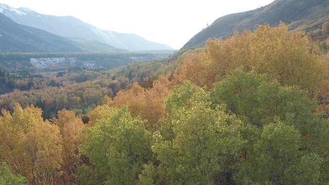 Drone pan of Fall colours in Fernie British Columbia, Canada.