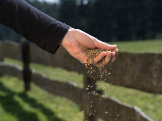 how to fertilize your garden plants by hand