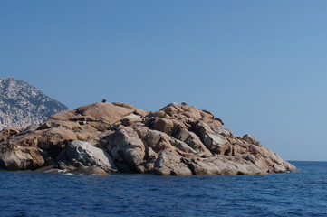 Fototapeta premium 0374