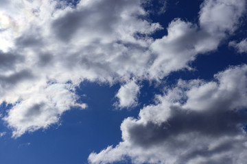 Obraz premium blue sky background with tiny clouds. Panorama