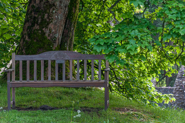 Wooden bench without people under a large oak tree in the Inchmahome Priory, Scotland. Concept: reflection, tranquility, calm