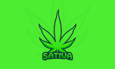 Sativa Marijuana Leaf Logo Design Template, Cannabis Vector Logo.