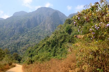 Fototapeta na wymiar Landschaft bei Vang Vieng, Laos