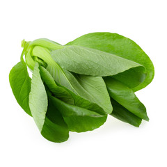 Bok choy cabbage isolated on a white background