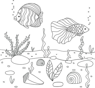 Ocean Floor Drawing Easy | Viewfloor.co