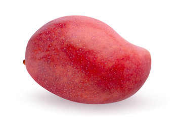 Mango fruit isolated on a white background