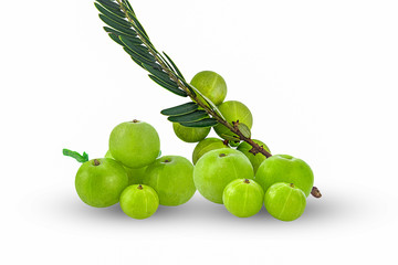 fresh phyllanthus emblica isolated on white