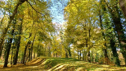 Barwy jesieni w parku w Strzelcach Opolskich Polska © Roman