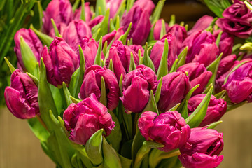 Obraz premium Bouquet of purple tulips for sale in flower shop.