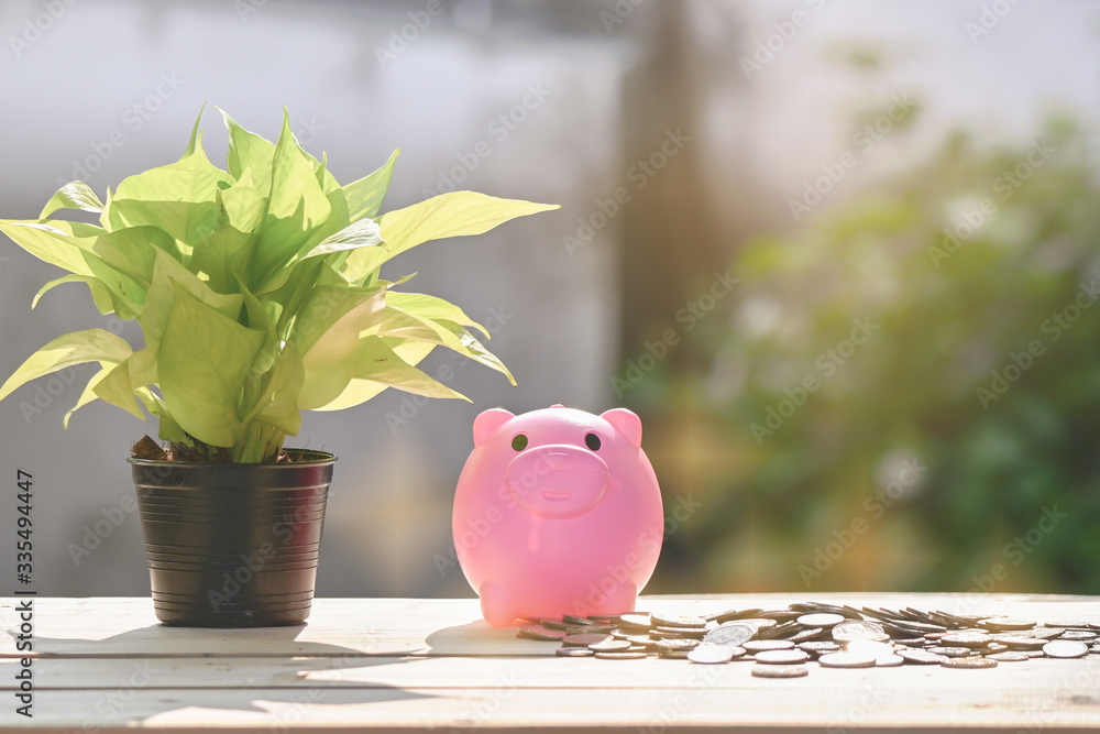 Wall mural Piggy bank isolated on white background clipping path