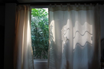 window with curtains when the light through